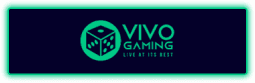 Vivo Gaming